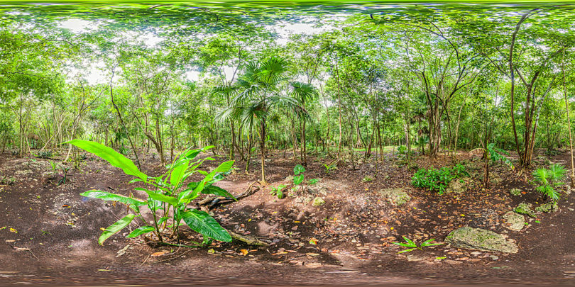 La Selva de Yucatán cerca del Cenote Chilam Balam