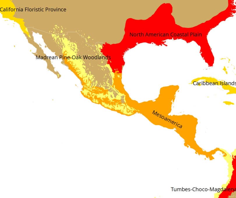 Biodiversitäts-Hotspots in Mexiko