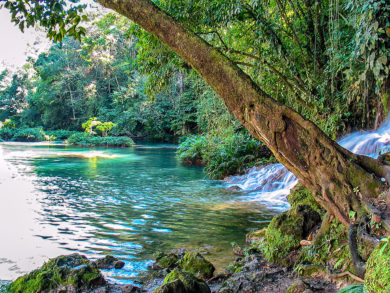 Wasserfälle in Chiapas - Cascada Welib-Ha