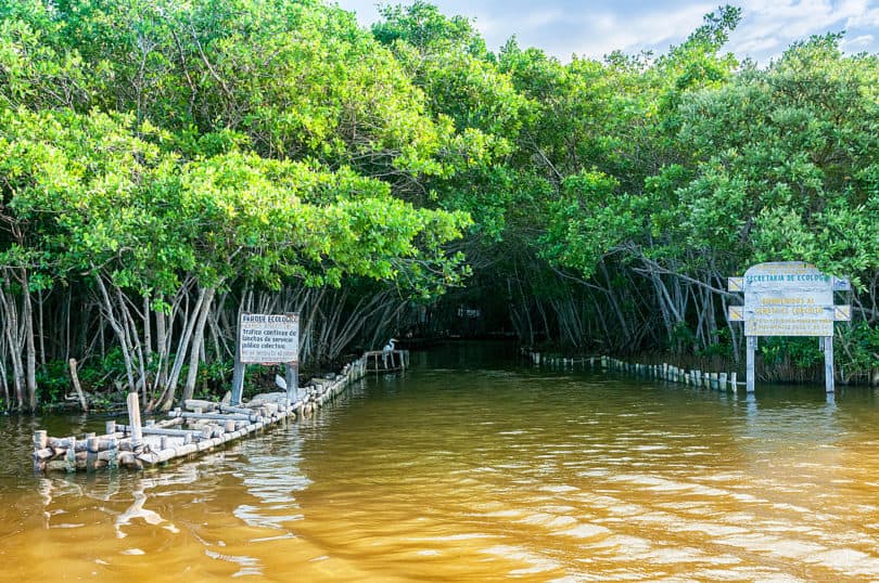 Cenote del Corchito