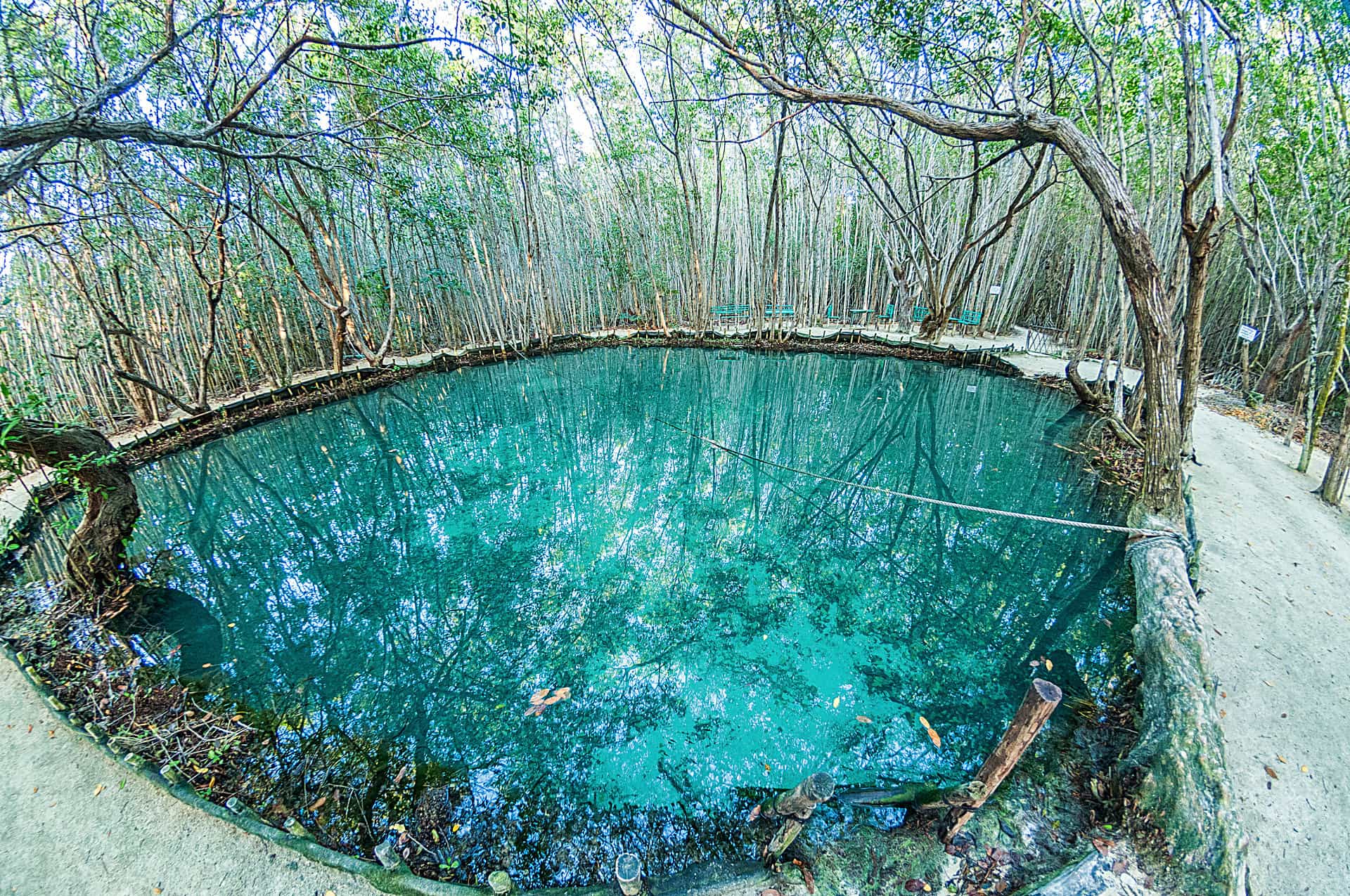 Cenote del Corchito
