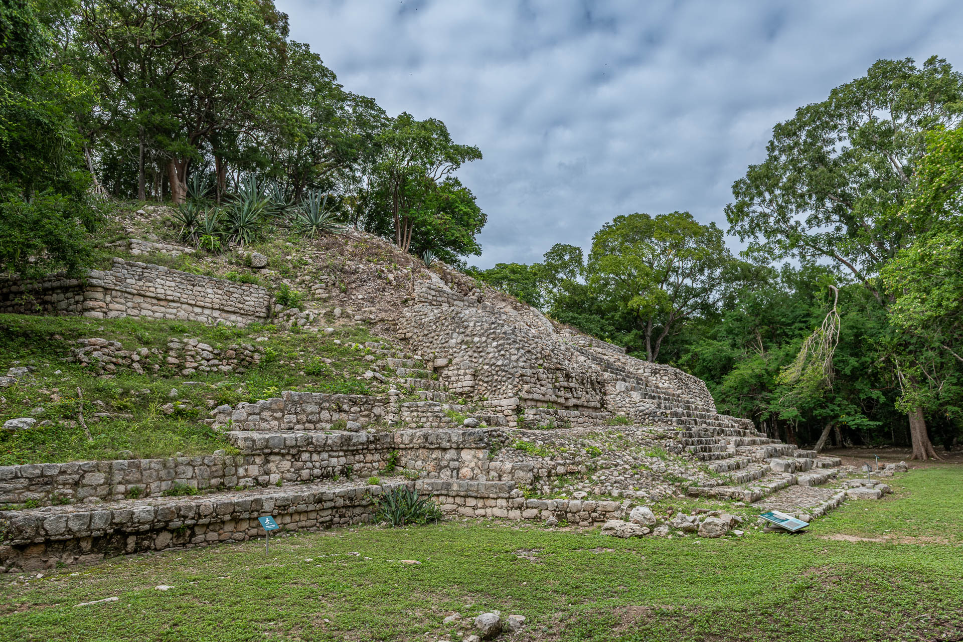 Bewachsene Maya-Pyramide