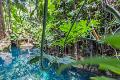 Hacienda Mucuyché - Cenoten, Geschichte und Küche im Süden von Yucatán