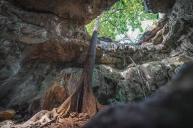 Cenotes in Homún