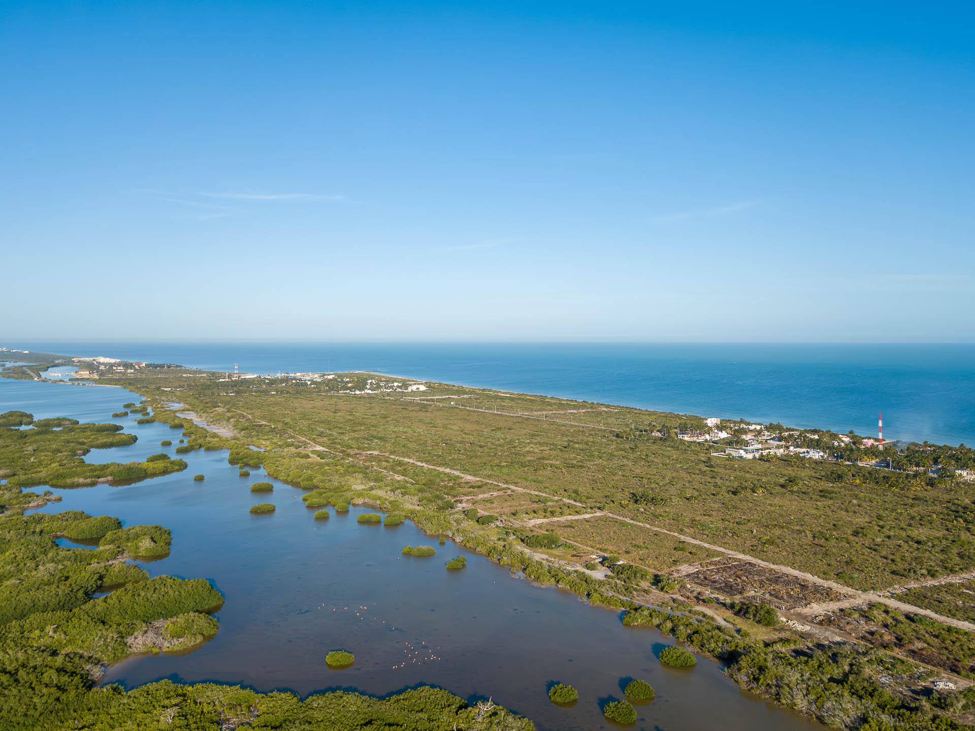 Zwischen Meer, Mangroven und Flamingos - in Telchak Puerto in Yucatán
