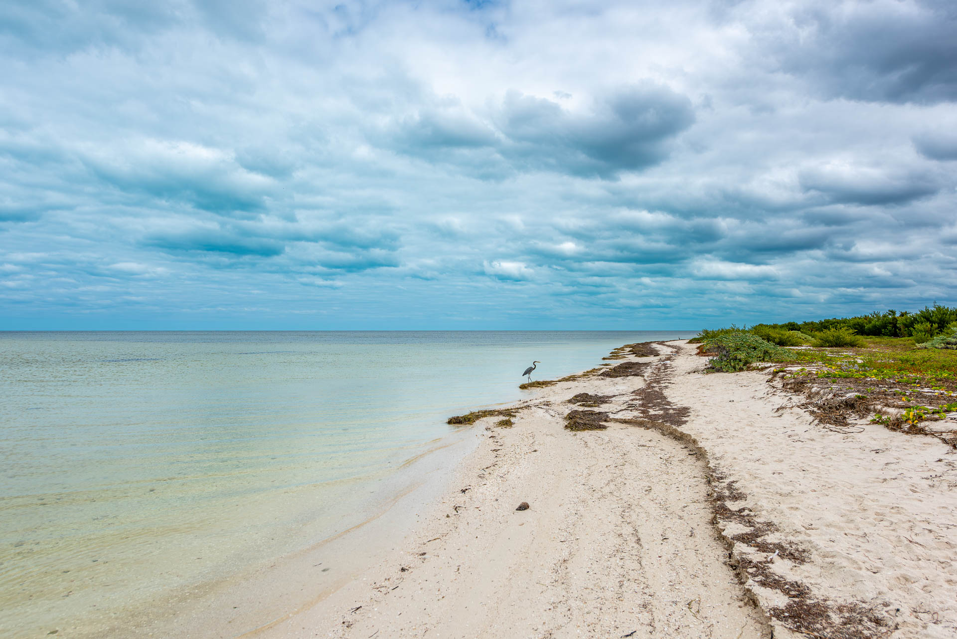 Playa de cangrejos in Mexiko