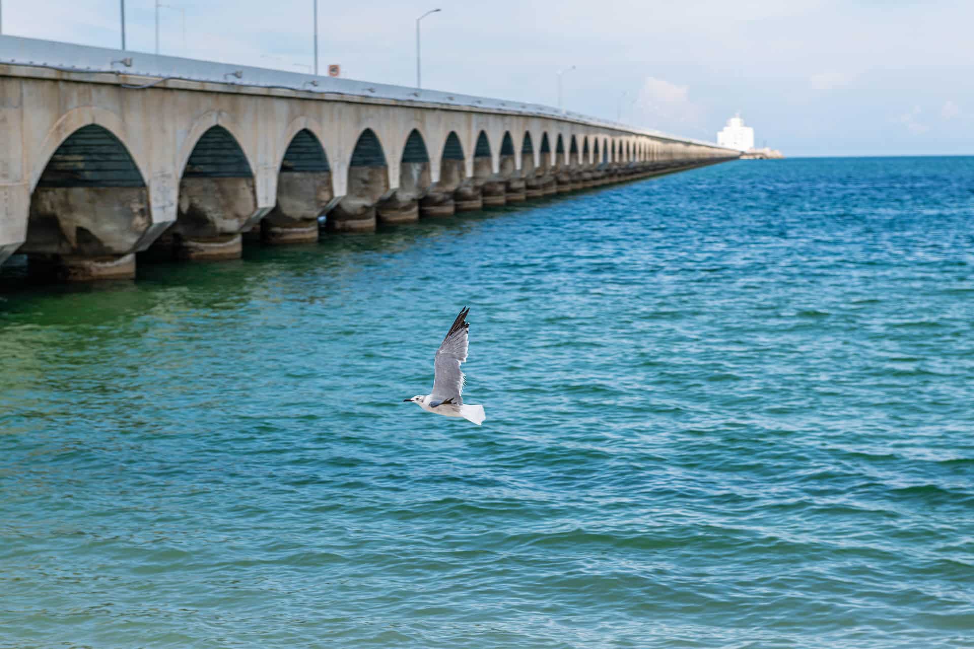 Der längste Pier der Welt mit einer Länge von 8 km