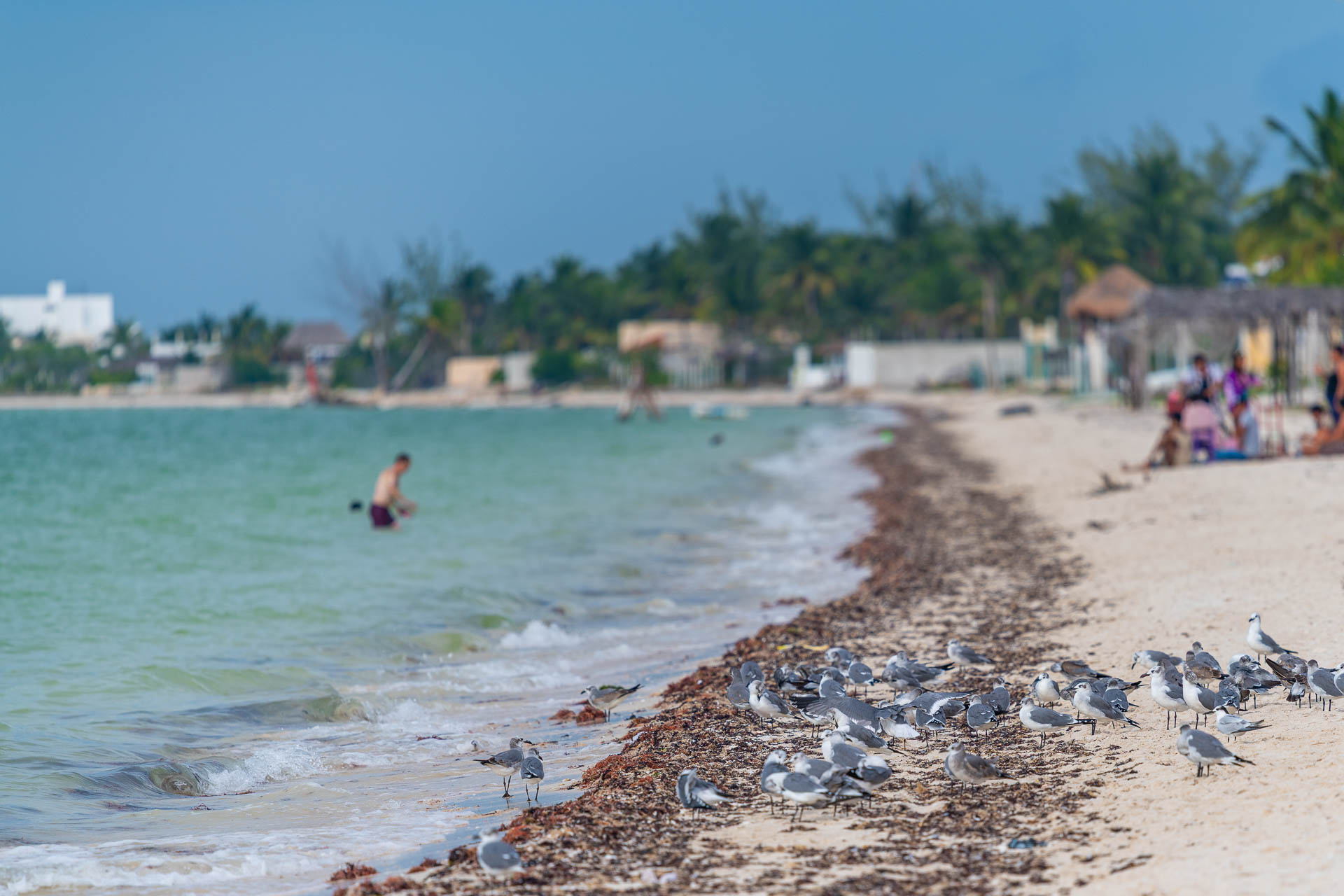 Strand von Celestún in Yucatán