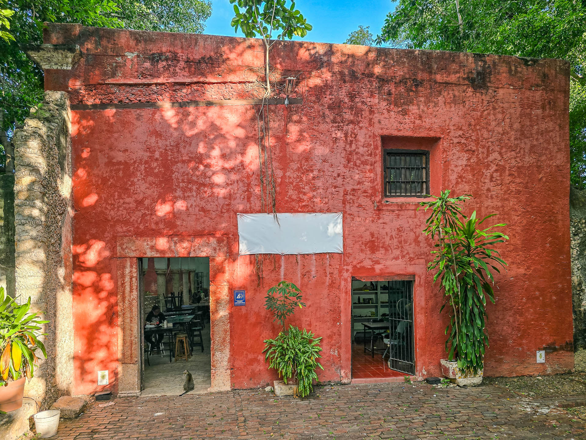 Universidad UADY